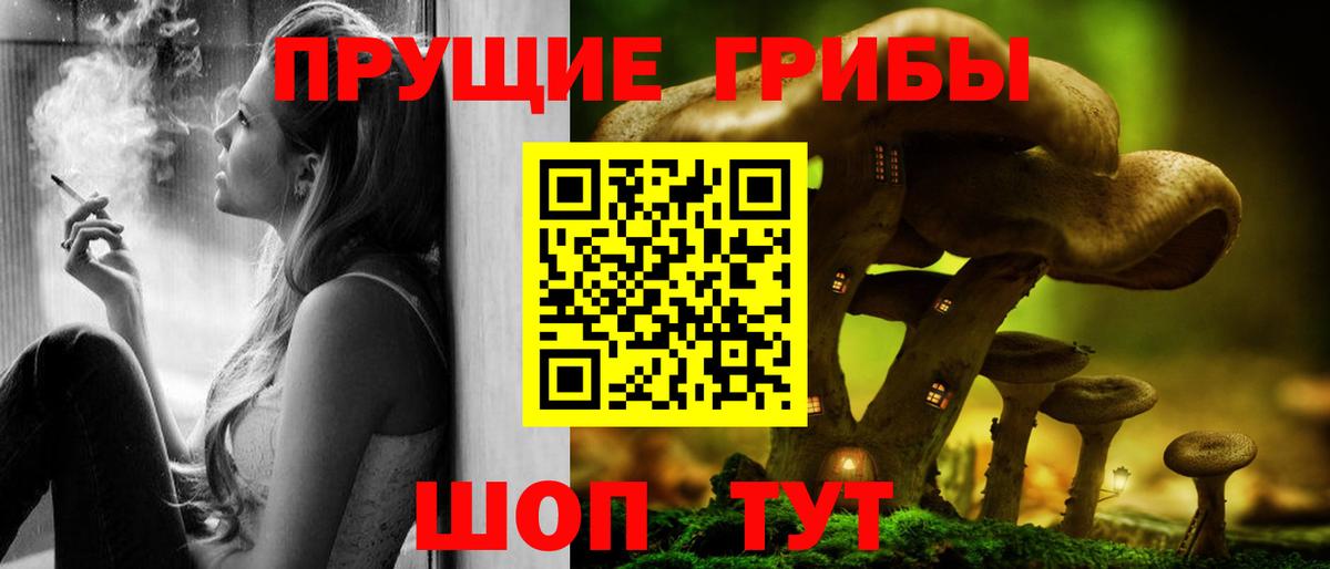 Галлюциногенные грибы Psilocybine cubensis Приморско-Ахтарск